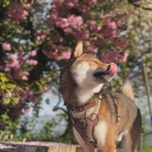 A6698143-89EC-459E-8233-A1499AC5D981