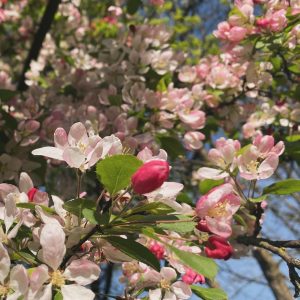 FE26ED74-5EC0-4ED6-9490-A5DC3B40EECE